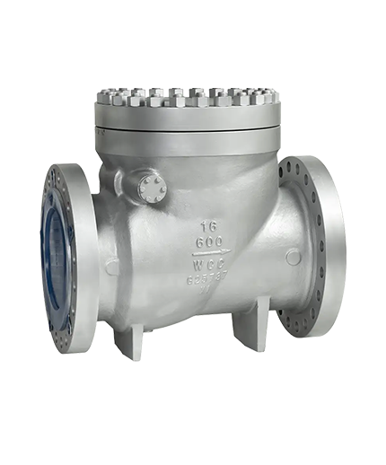 Check Valve